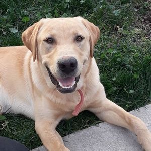 Meet your Posher, Natalie